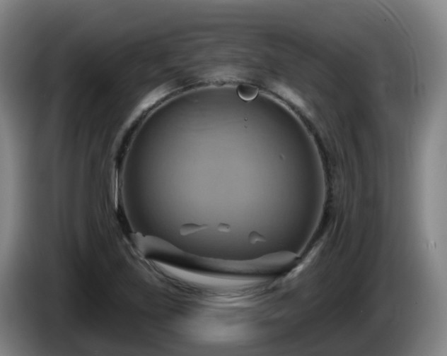 X0000086021219200703301025