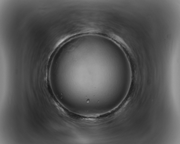 X0000086021220200703301025