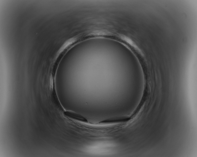 X0000086021221200703301025