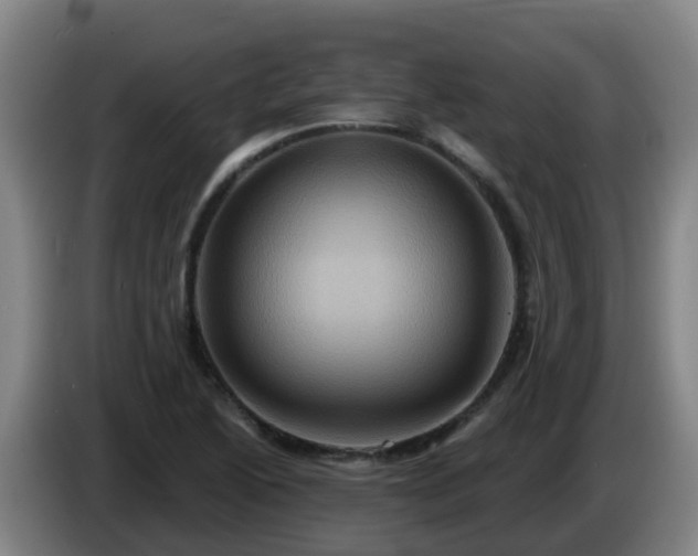 X0000086021222200703301025