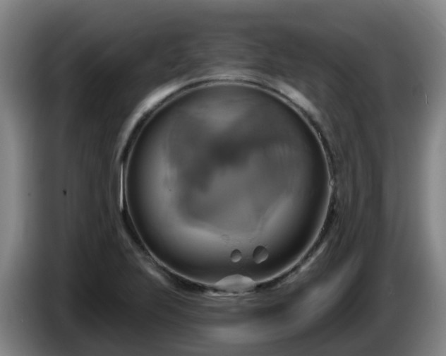 X0000086021223200703301025
