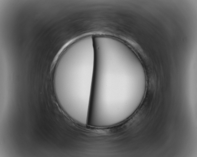 X0000086021224200703301025