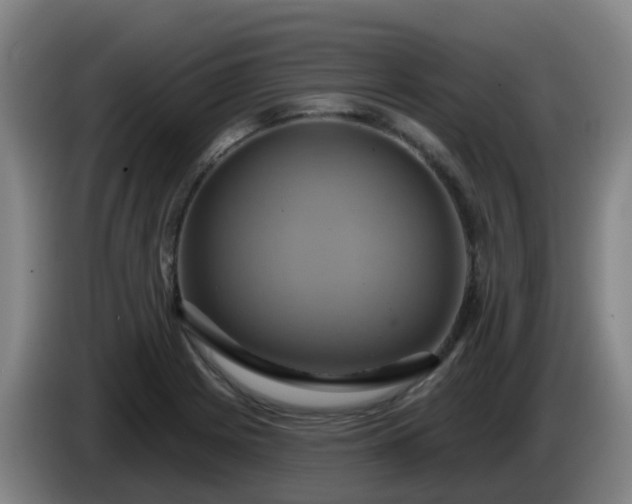 X0000086021225200703301025