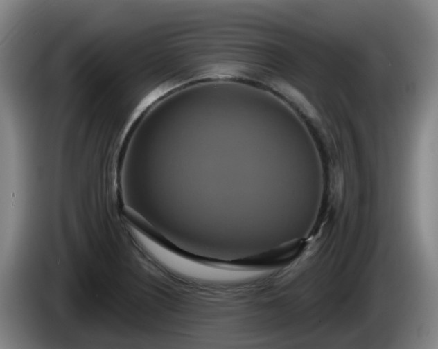 X0000086021226200703301025