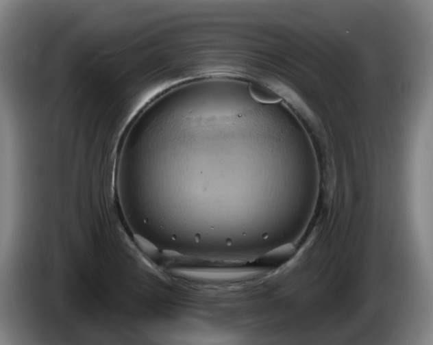 X0000086021228200703301025
