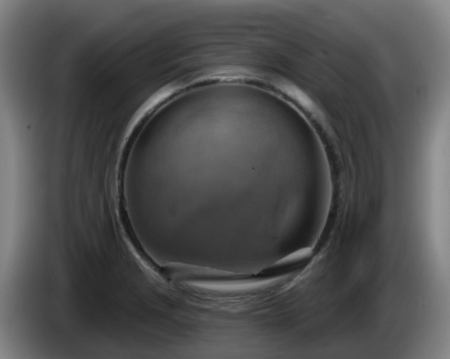 X0000086021229200703301025