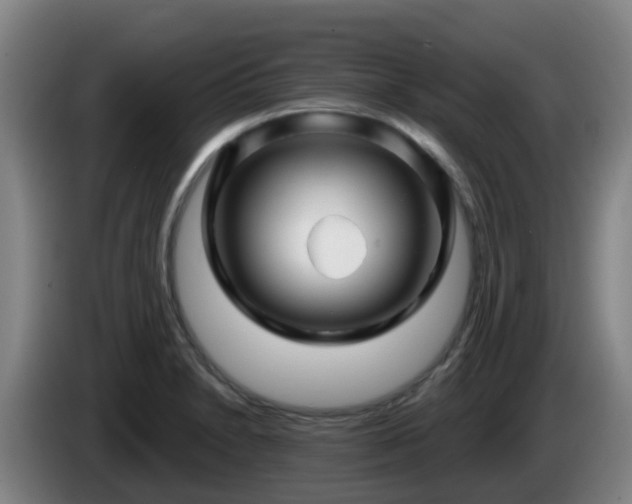X0000086021230200703301025
