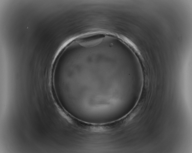 X0000086021231200703301025