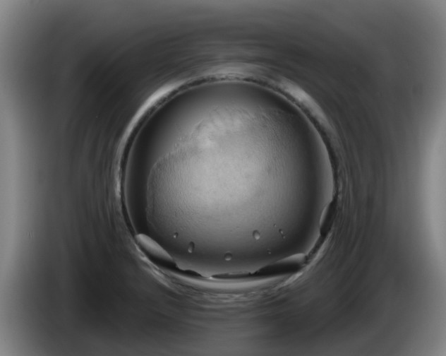 X0000086021232200703301025