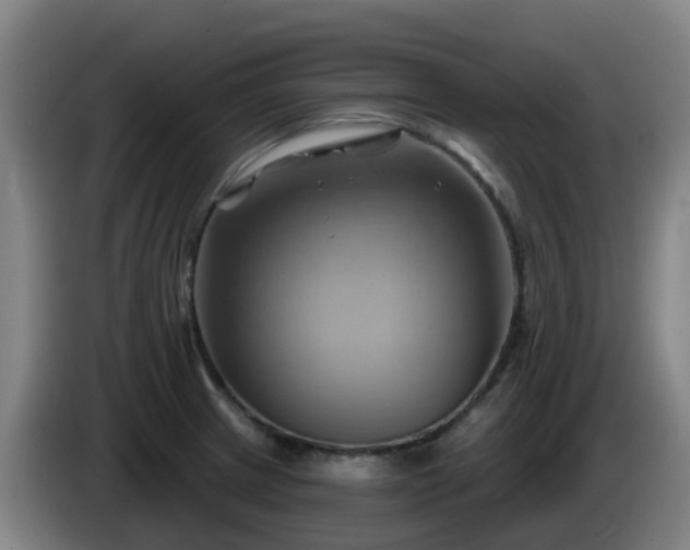 X0000086021233200703301025