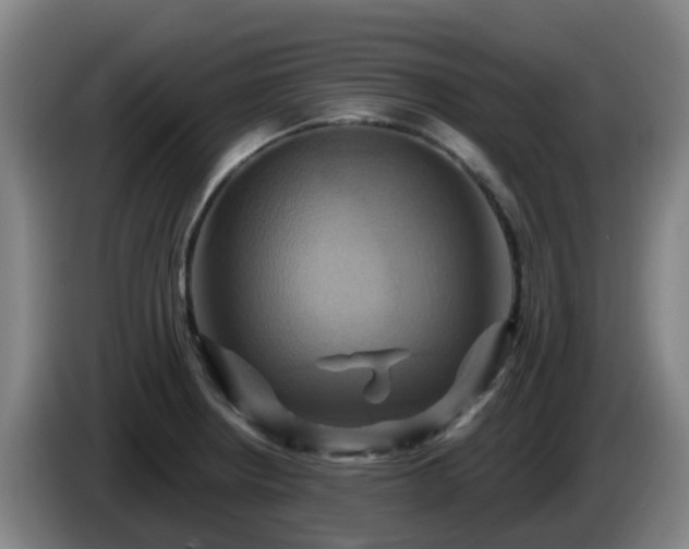 X0000086021234200703301025