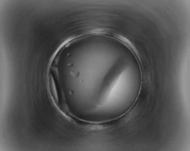 X0000086021235200703301025
