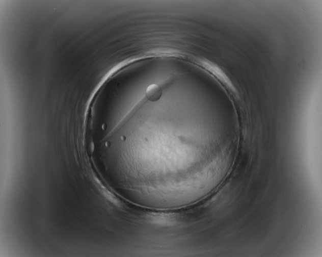 X0000086021236200703301025