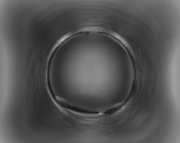 X0000086021237200703301025