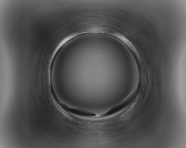 X0000086021238200703301025