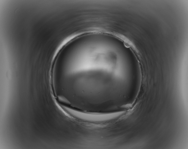 X0000086021239200703301025