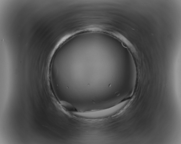 X0000086021240200703301025
