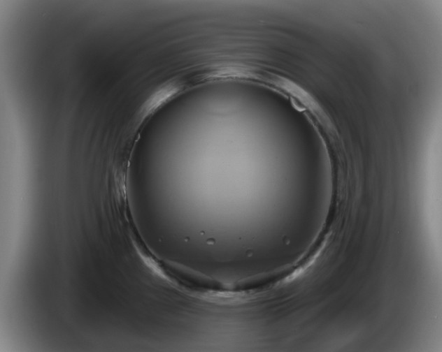 X0000086021241200703301025