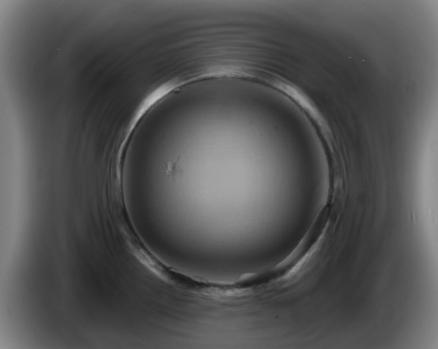 X0000086021242200703301025