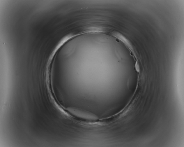 X0000086021243200703301025