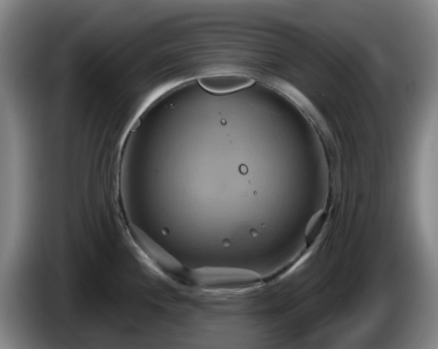 X0000086021244200703301025
