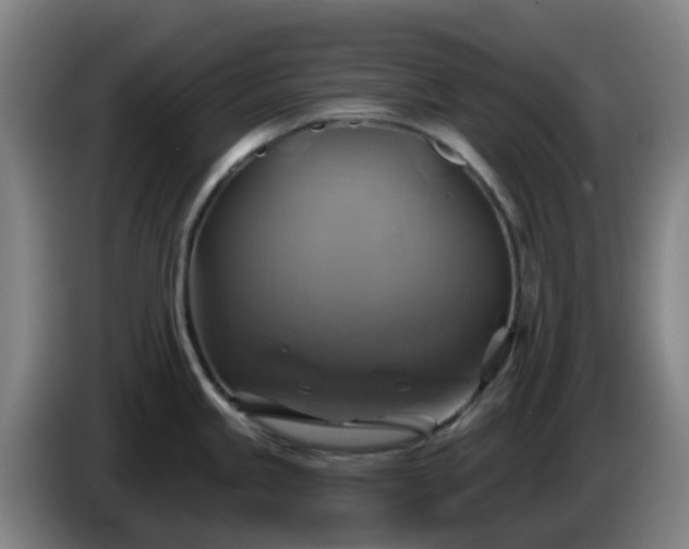 X0000086021245200703301025