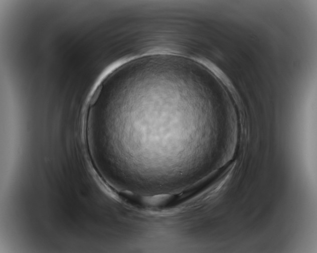 X0000086021246200703301025