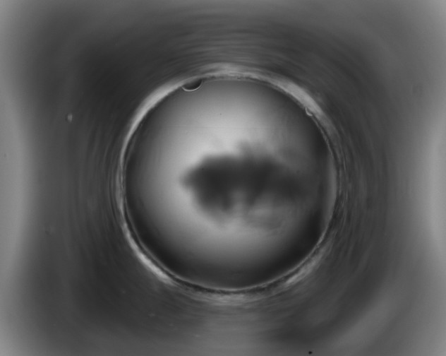X0000086021247200703301025