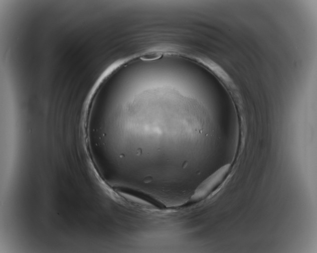 X0000086021248200703301025