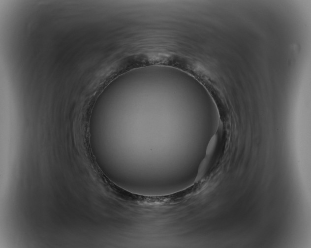 X0000086021249200703301025