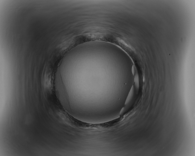 X0000086021250200703301025