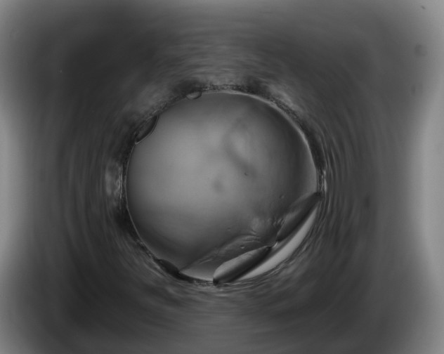 X0000086021251200703301025