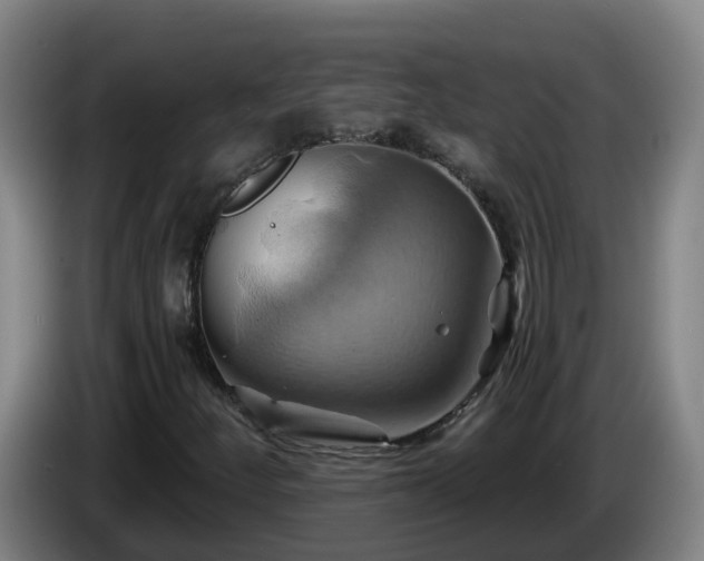 X0000086021252200703301025