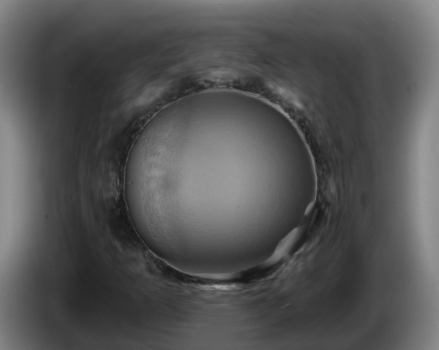 X0000086021253200703301025