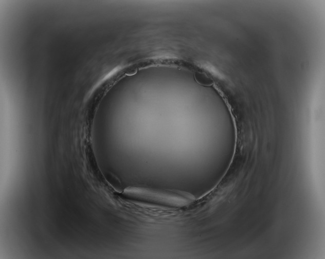 X0000086021255200703301025