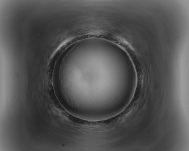 X0000086021256200703301025