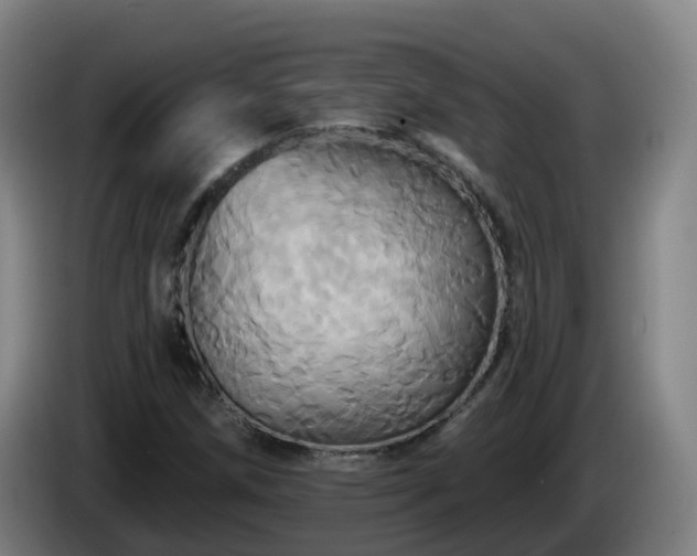 X0000086021258200703301025