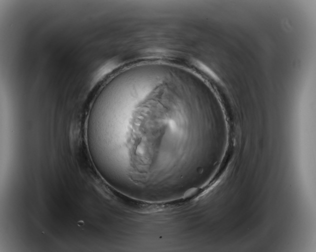 X0000086021259200703301025