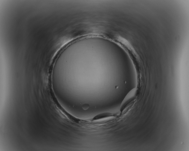 X0000086021260200703301025