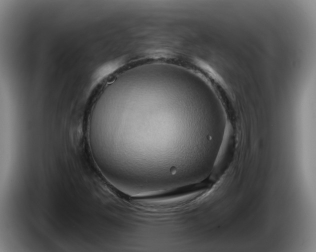 X0000086021261200703301024