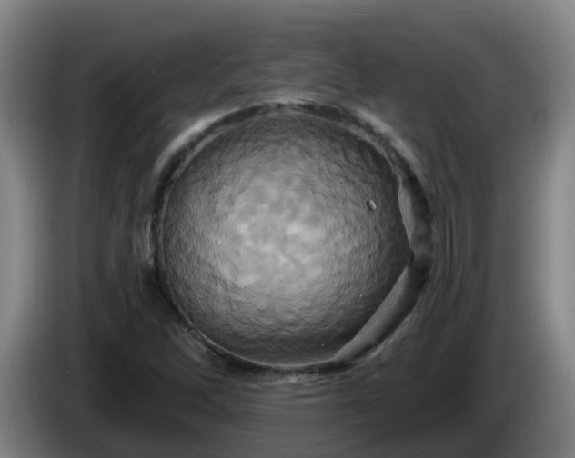 X0000086021262200703301024