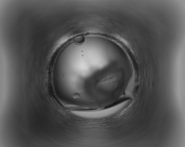 X0000086021263200703301024