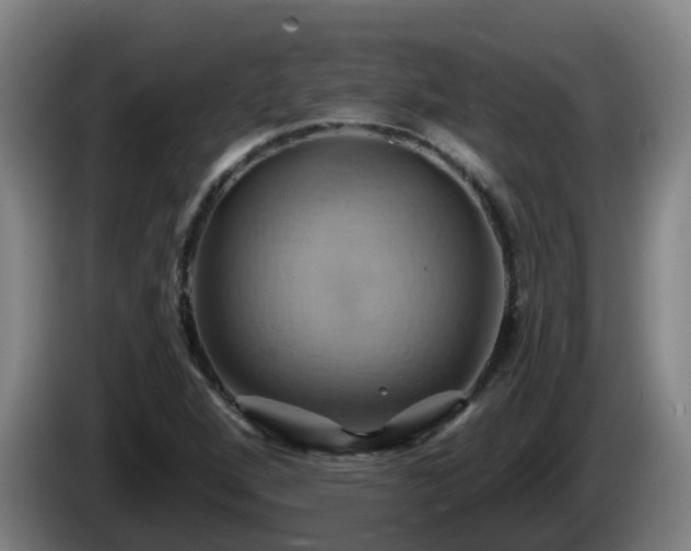 X0000086021264200703301024