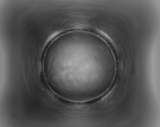 X0000086021267200703301024