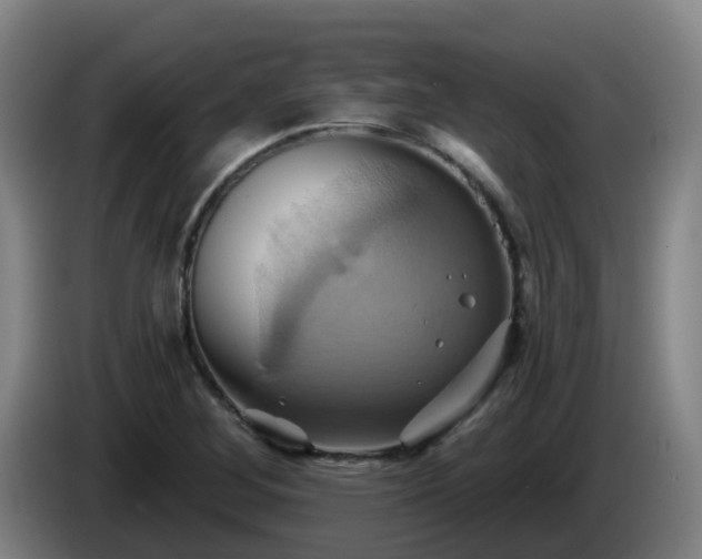 X0000086021268200703301024
