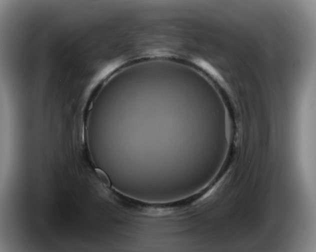 X0000086021269200703301024