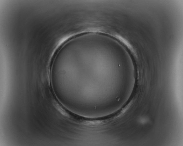 X0000086021272200703301024