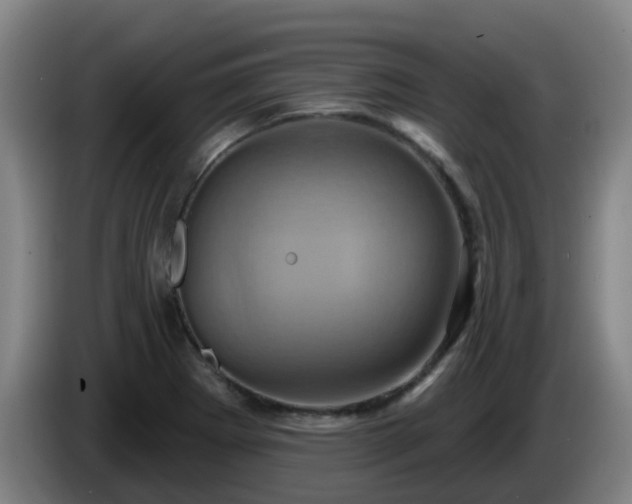X0000086021273200703301024