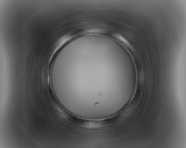 X0000086021274200703301024