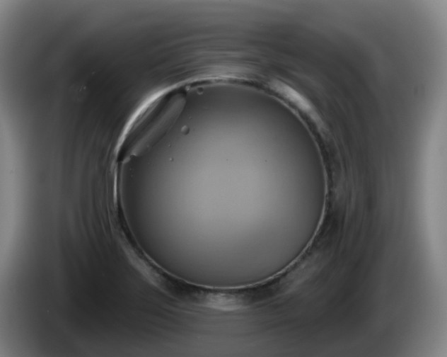 X0000086021275200703301024